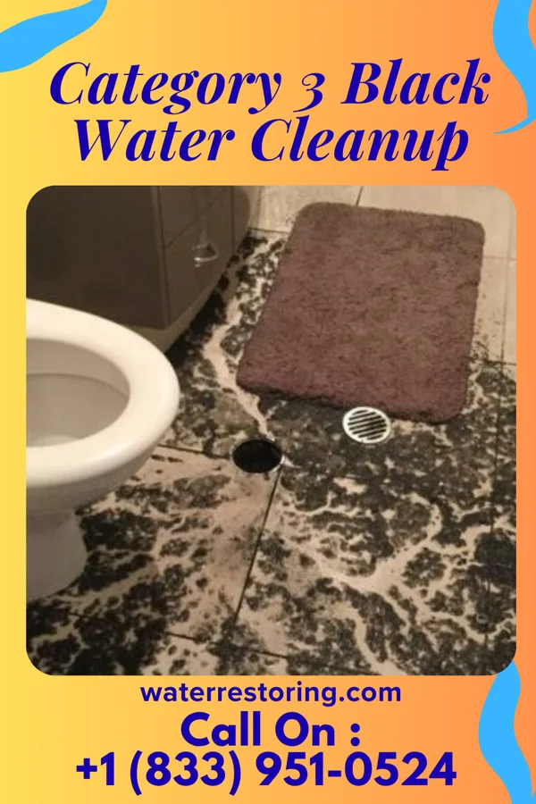 Category 3 Black Water Cleanup in Manchester, PA