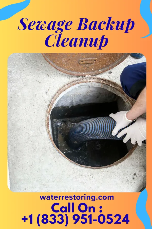 Sewage Backup Cleanup in Manchester, PA